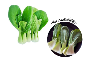 ผักกวางตุ้ง