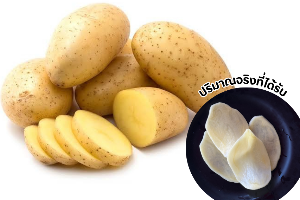 มันฝรั่ง