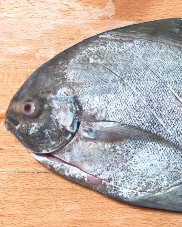 ปลาจาระเม็ด