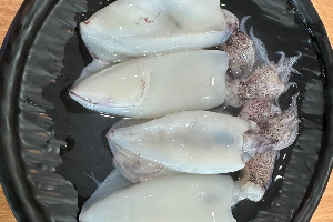 หมึกสด