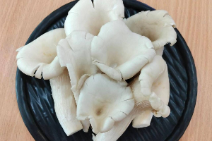 เห็ดนางฟ้า