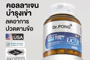 DR.PONG UNDENATURED COLLAGEN TYPEII (DP0056)