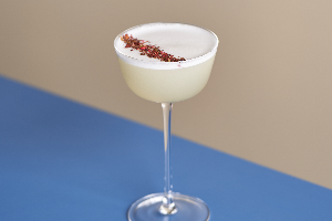SOCO Gin Sour