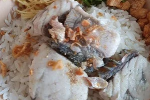 S14 ข้าวแห้งปลากระพง