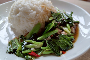 ผัดคะน้า