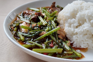 ผัดผักบุ้ง