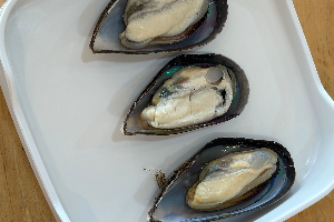 หอยแมลงภู่นิวซีแลนด์ / New Zealand Green-Lipped Mussels