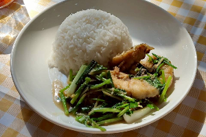 ผัดขึ้นฉ่าย