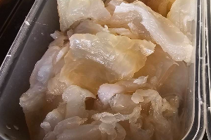 แมงกะพรุน