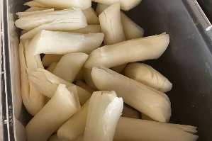 ต๊อกบกกี