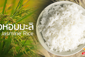 ข้าวเปล่า