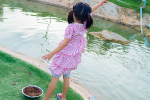 ให้อาหารปลา