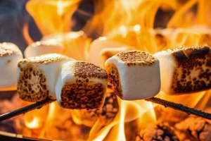 มาร์ชเมลโล่