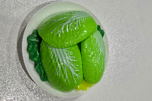 ผักกาดขาว