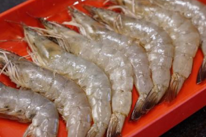 กุ้งสด3ตัว