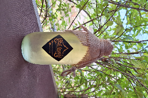 น้ำช่อดอกมะพร้าว