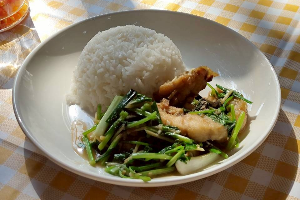 ผัดขึ้นฉ่าย(ราดข้าว)