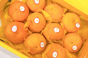 ส้มจุกนกแก้ว 10-12ลูก (ใหญ่)