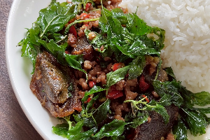 หมูสับไข่เยี่ยวม้ากะเพรา(ราดข้าว)