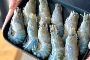 กุ้งแม่น้ำ / River prawn