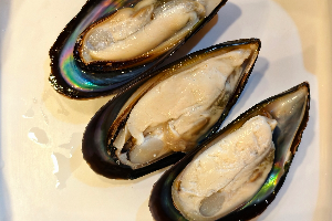  หอยแมลงภู่นิวซีแลนด์ / New Zealand Green-Lipped Mussels