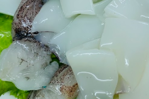 ปลาหมึก 鱿鱼 Squid