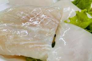 ปลาดอลลี่ 巴沙鱼 Dolly Fish