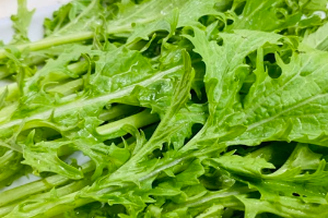 ผักกาดฮีน 茼蒿 Thai Lettuce Hin