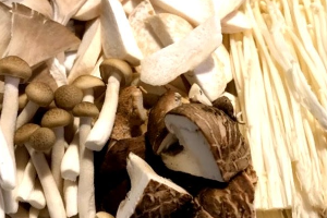 เห็ดรวม 菌类拼盘 Mixed Mushroom