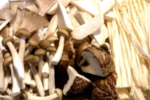 เห็ดรวม 菌类拼盘 Mixed Mushroom