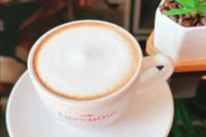 Capucino
