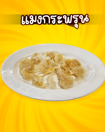 แมงกระพรุน [มจ]