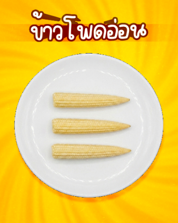 ข้าวโพดอ่อน [มจ]
