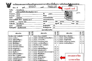 วุฒิการศึกษา ระดับประถมศึกษา (ป.6) (ม.3)